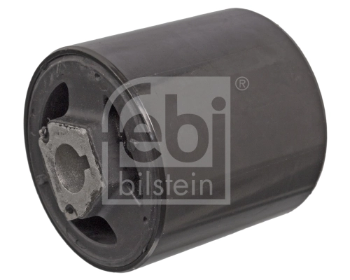 Mounting, control/trailing arm